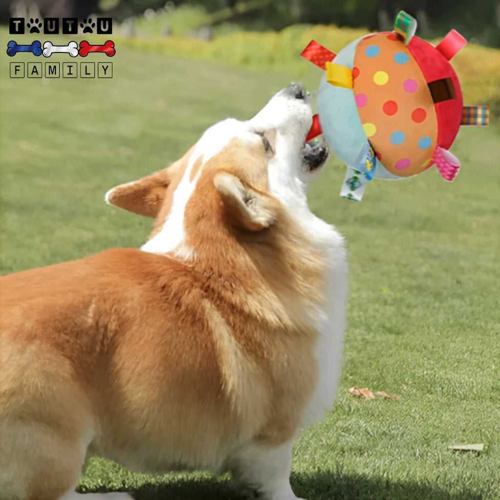 Balle pour chien en peluche - AttrapeToutou™