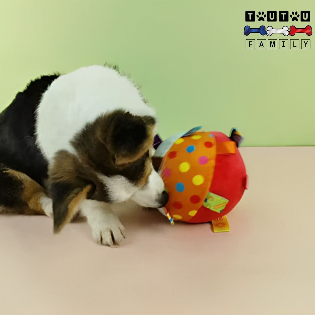 Balle pour chien en peluche - AttrapeToutou™