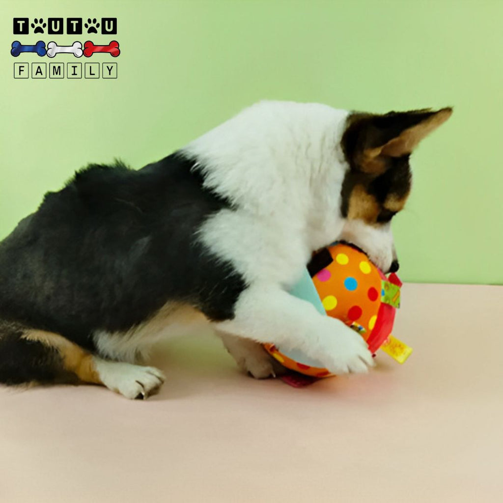Balle pour chien en peluche - AttrapeToutou™
