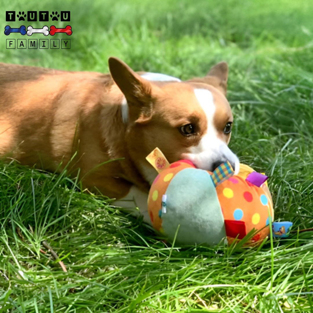 Balle pour chien en peluche - AttrapeToutou™