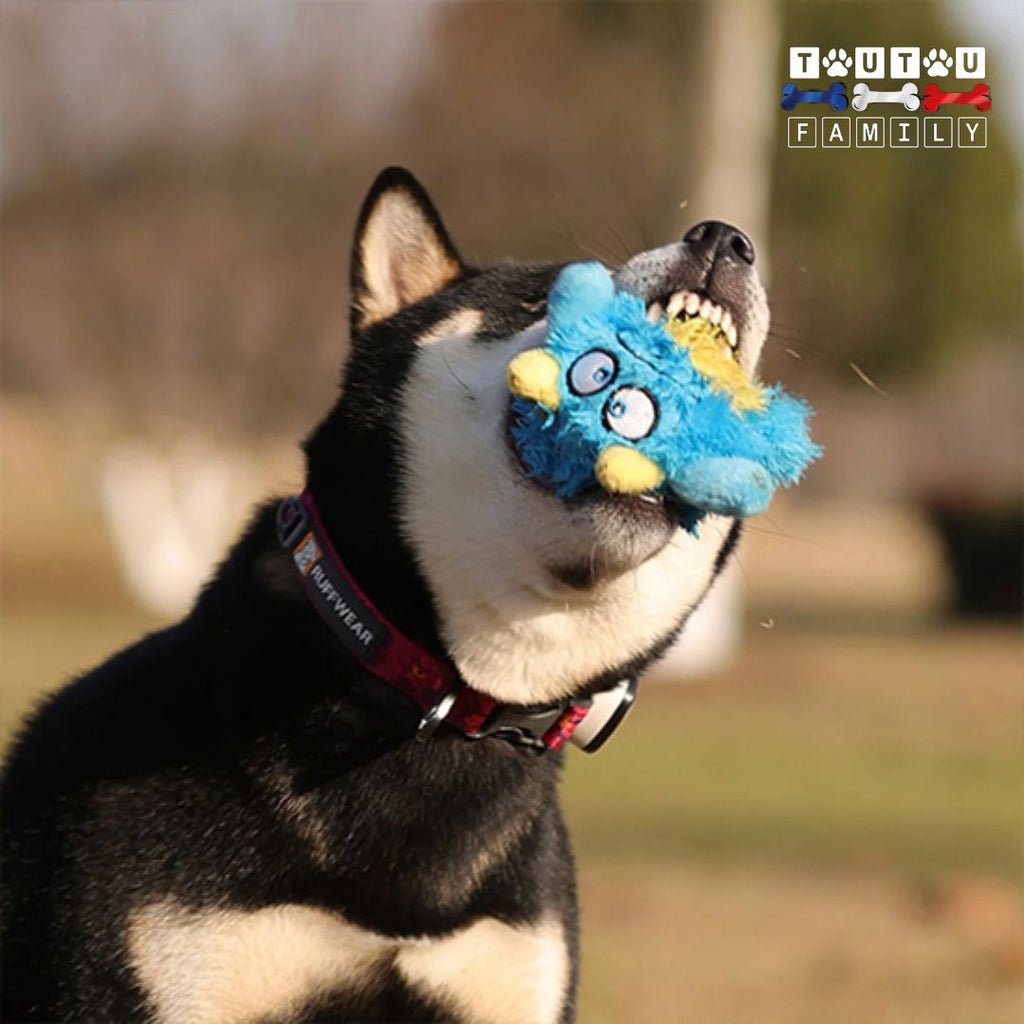 Balle pour chien en peluche - RebondiToutou™