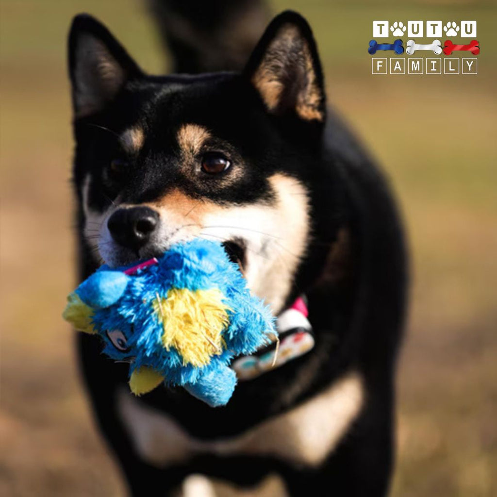 Balle pour chien en peluche - RebondiToutou™