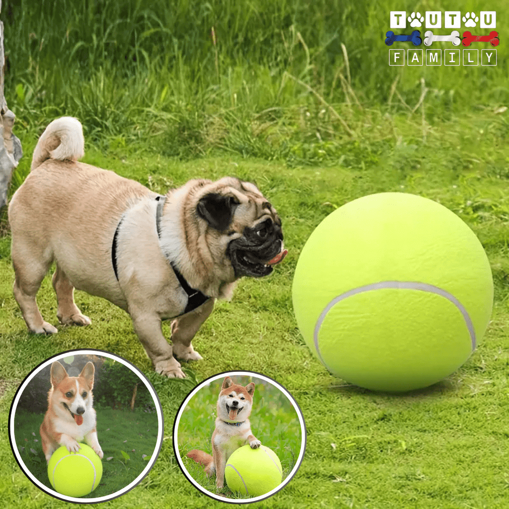 Balle pour chien géante - GéanToutou™