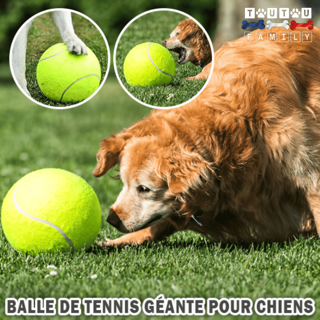 Balle pour chien géante - GéanToutou™