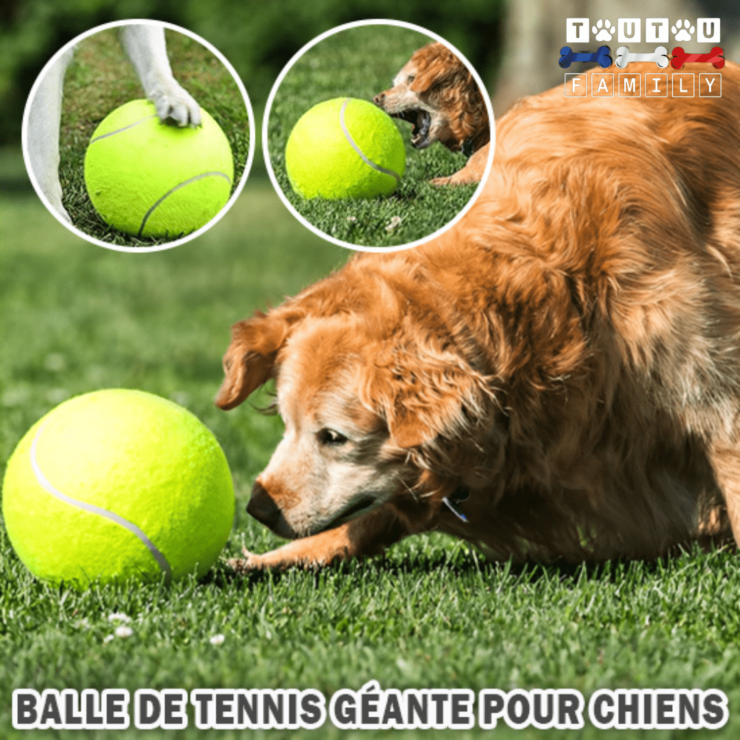 Balle pour chien géante - GéanToutou™