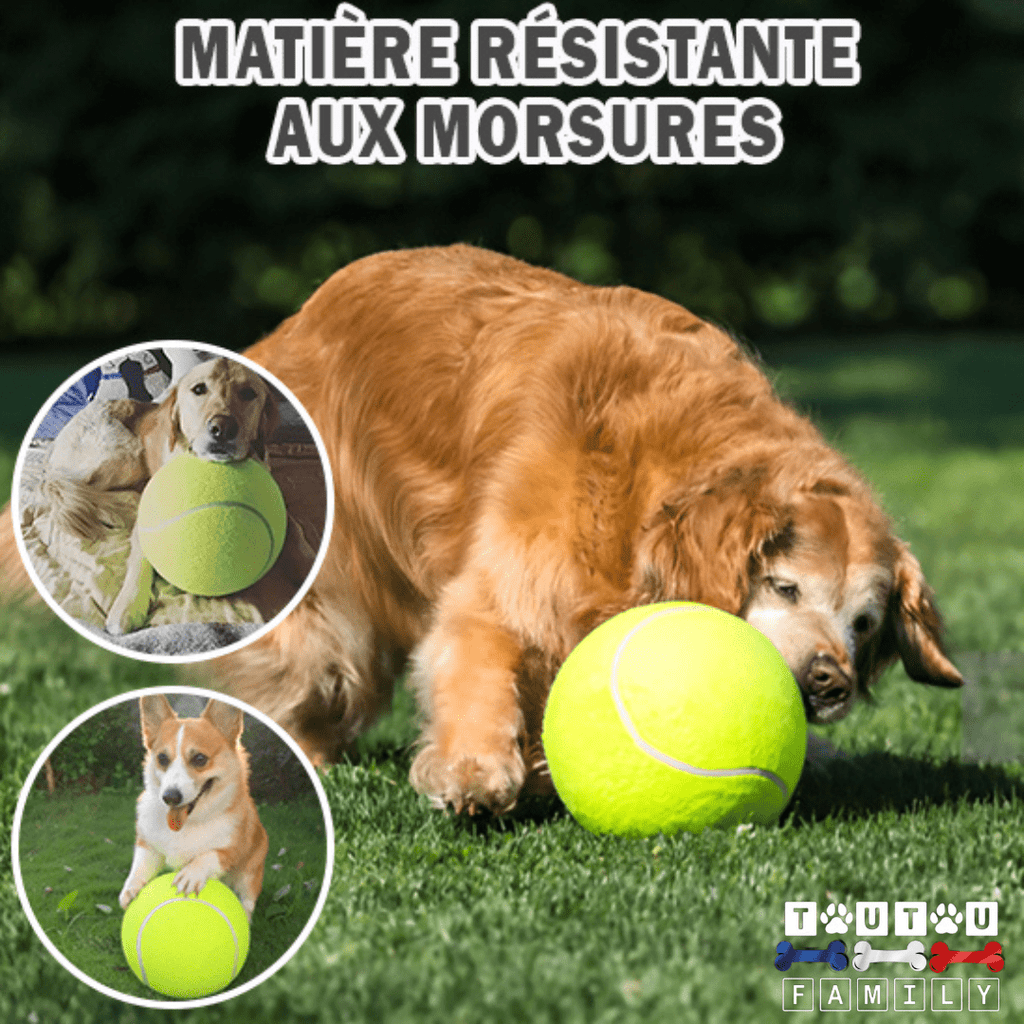 Balle pour chien géante - GéanToutou™