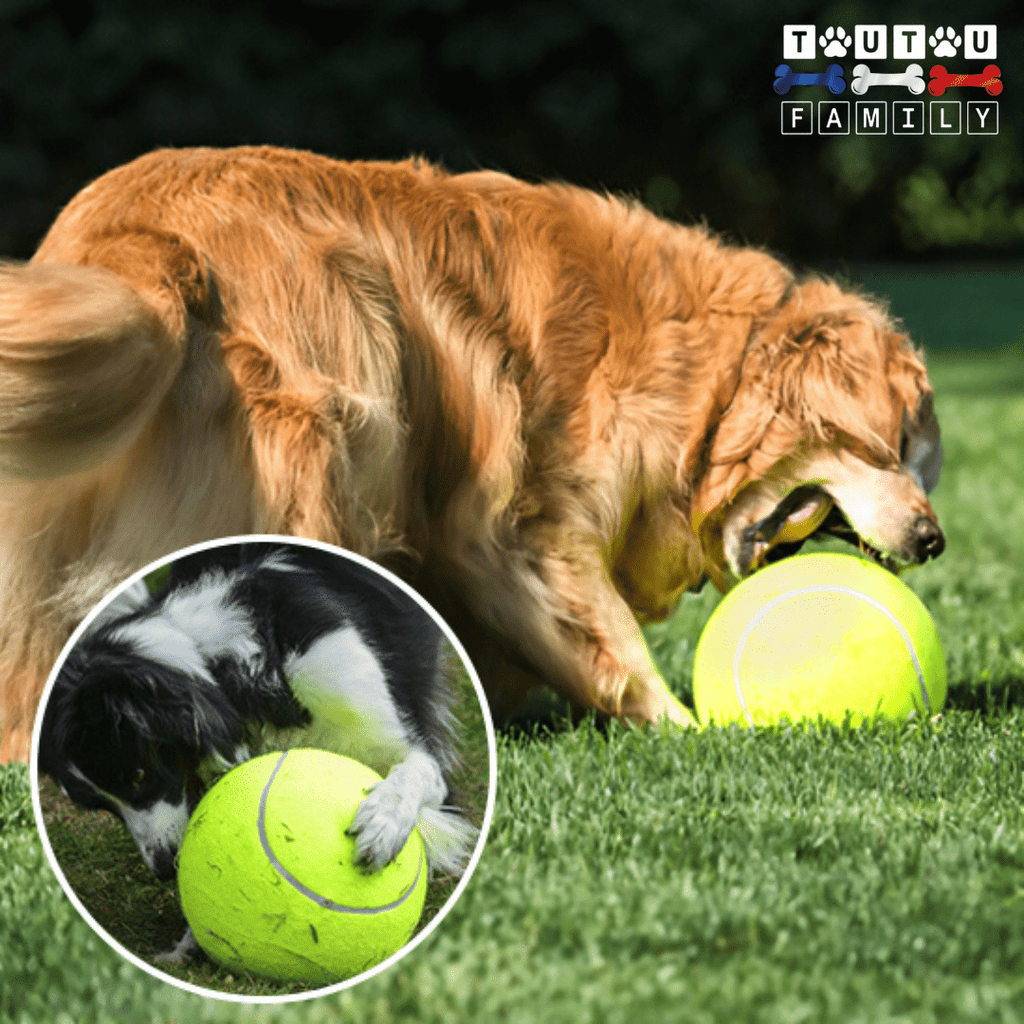 Balle pour chien géante - GéanToutou™