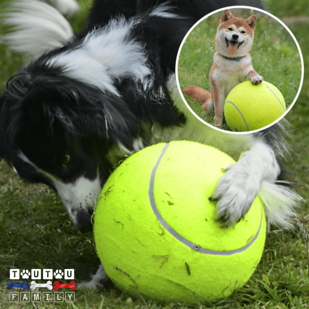 Balle pour chien géante - GéanToutou™