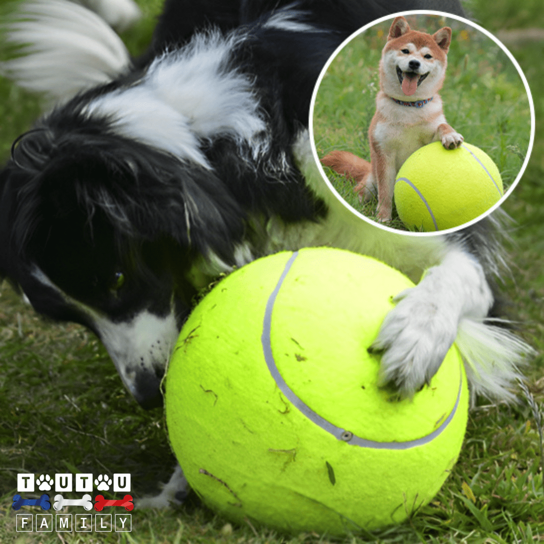 Balle pour chien géante - GéanToutou™
