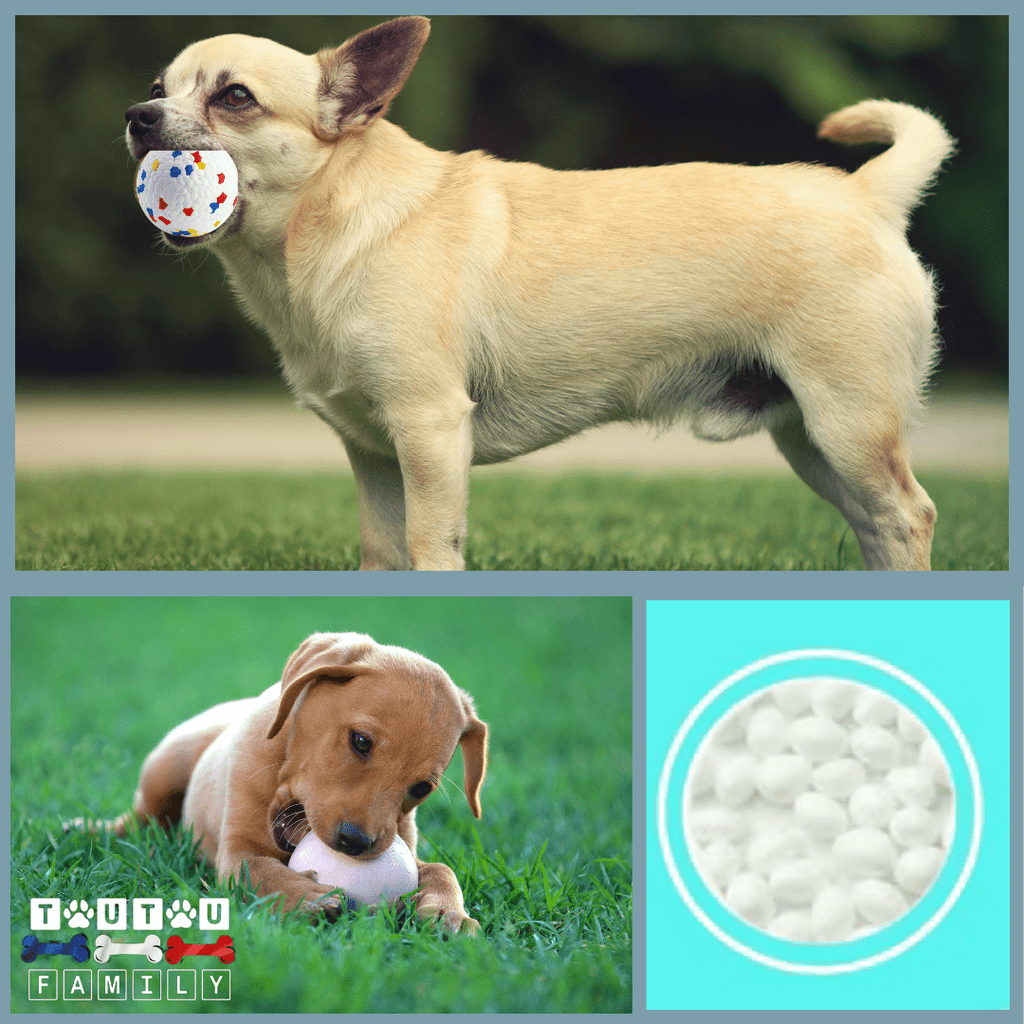 Balle pour chien indestructible - EternelToutou™