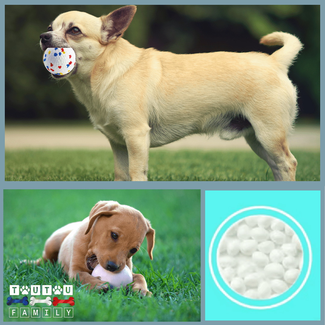 Balle pour chien indestructible - EternelToutou™