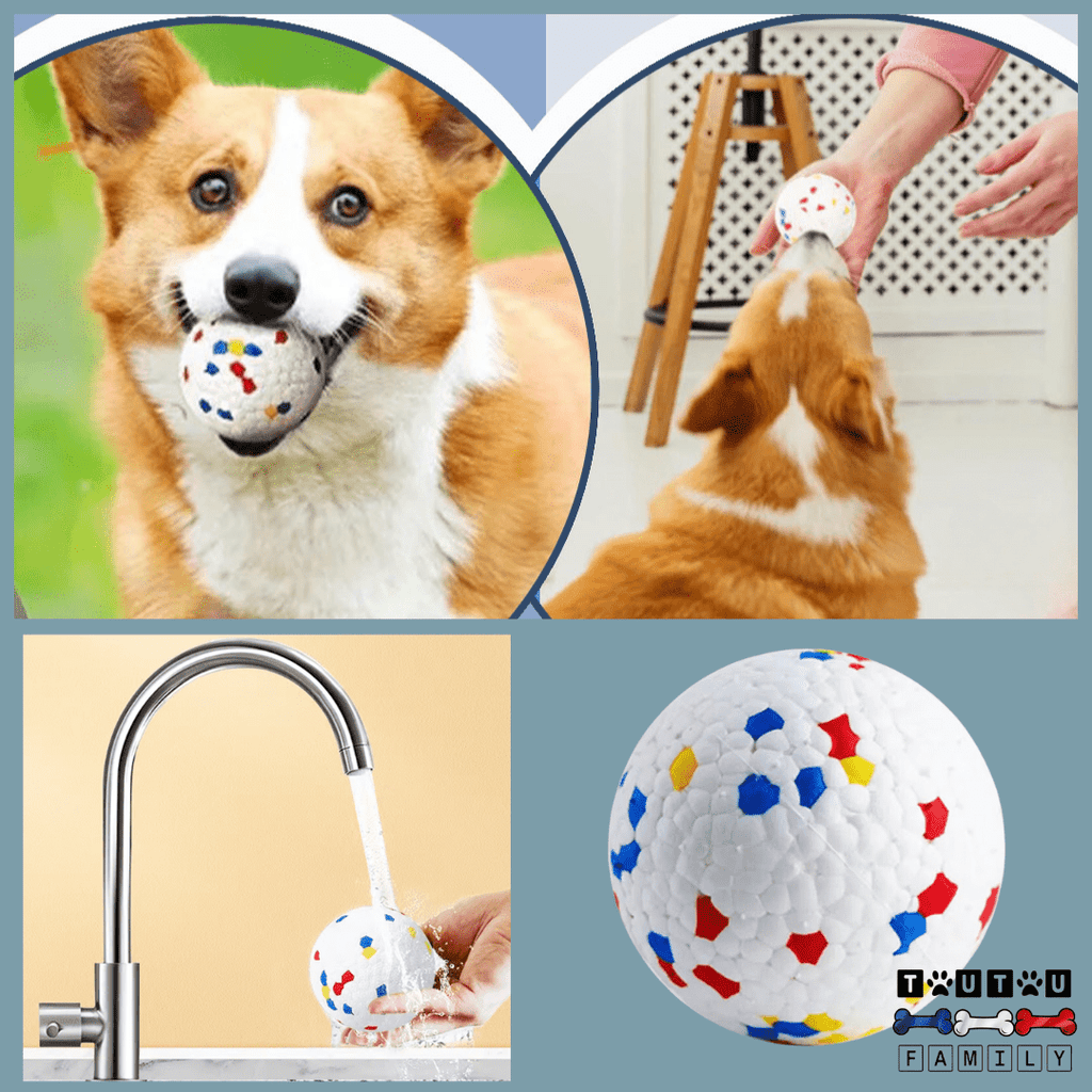 Balle pour chien indestructible - EternelToutou™