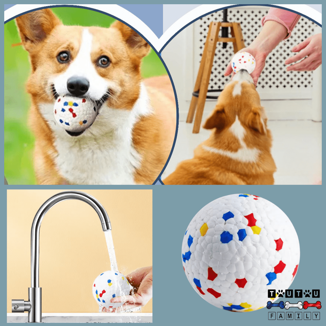 Balle pour chien indestructible - EternelToutou™