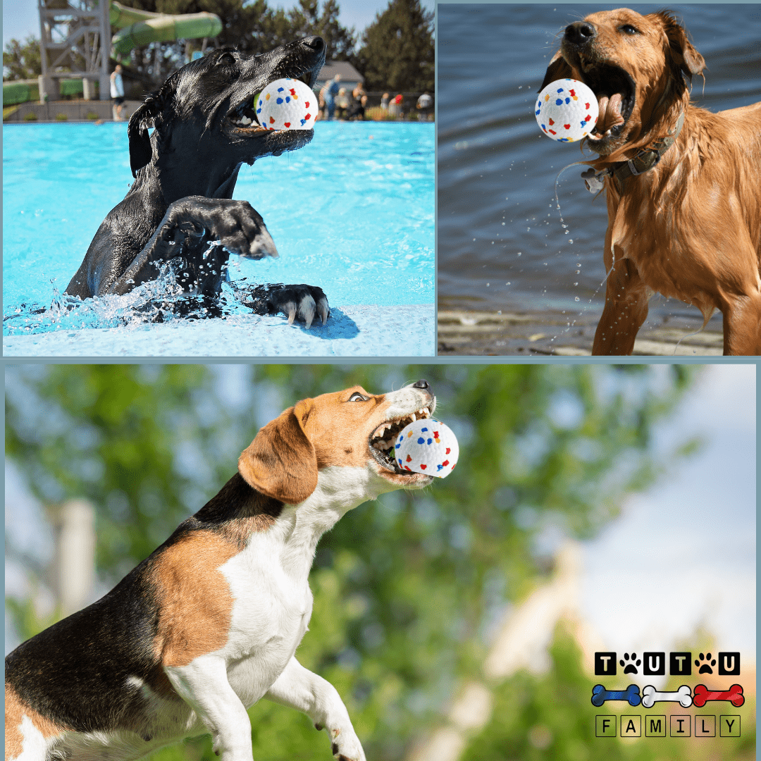 Balle pour chien indestructible - EternelToutou™