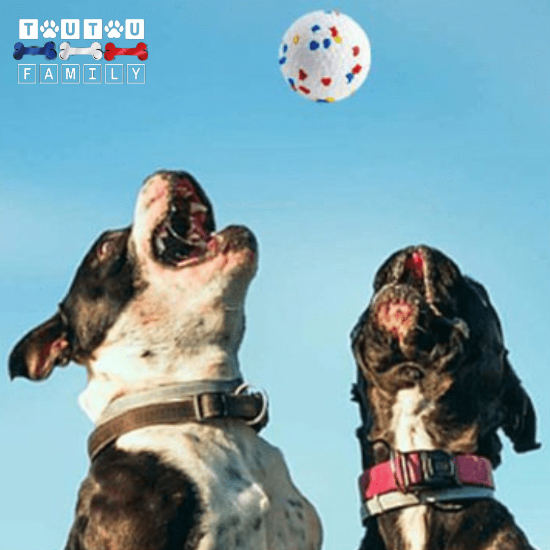 Balle pour chien indestructible - EternelToutou™