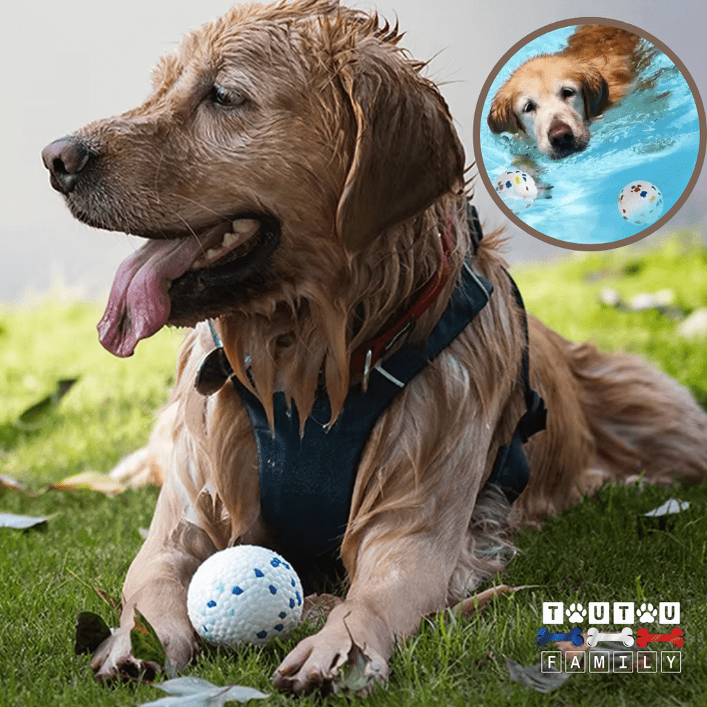 Balle pour chien indestructible (Grand chien) - TenaceToutou™