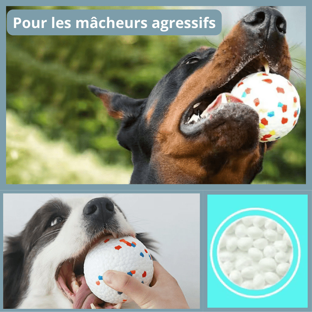 Balle pour chien indestructible (Grand chien) - TenaceToutou™