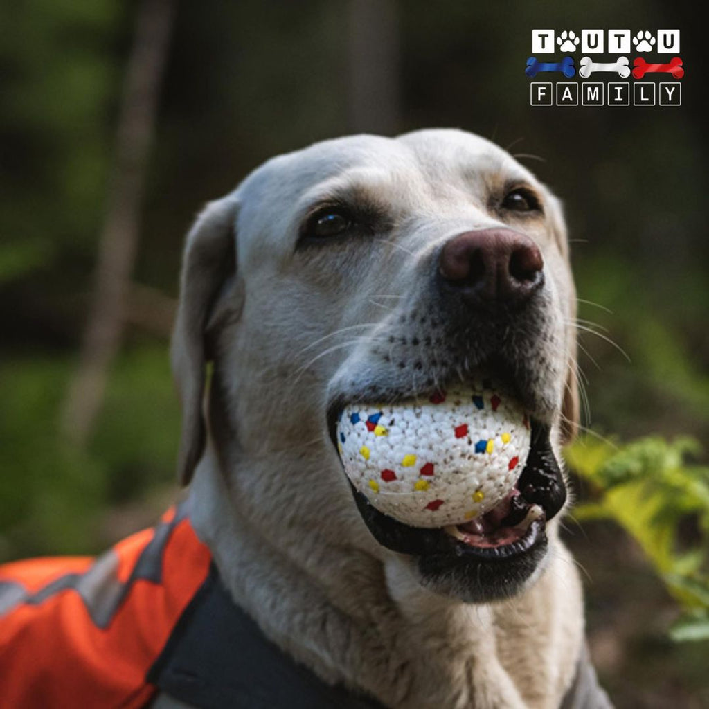Balle pour chien indestructible -IncassableToutou™