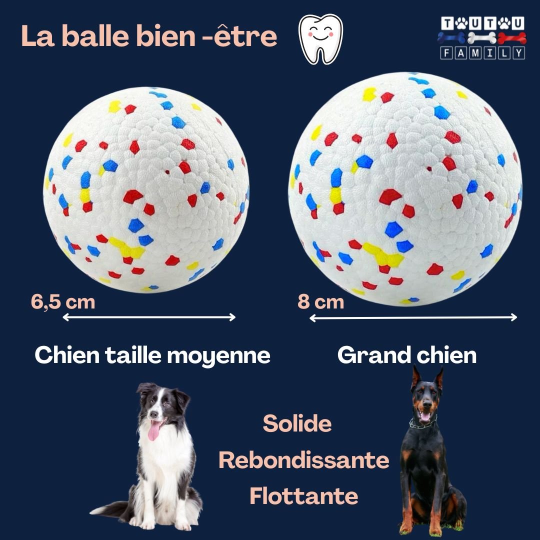 Balle pour chien indestructible -IncassableToutou™