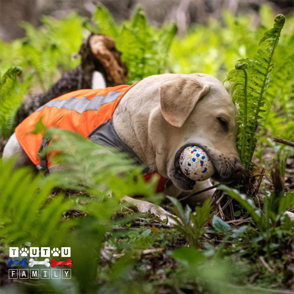 Balle pour chien indestructible -IncassableToutou™