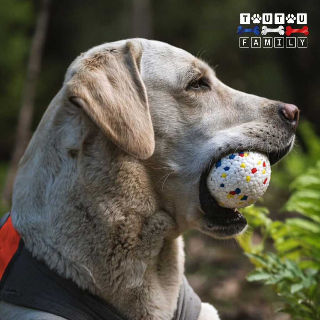 Balle pour chien indestructible -IncassableToutou™
