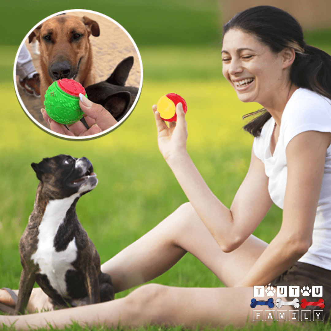 Balle pour chien (Lot de 3 ) - BalleToutou™