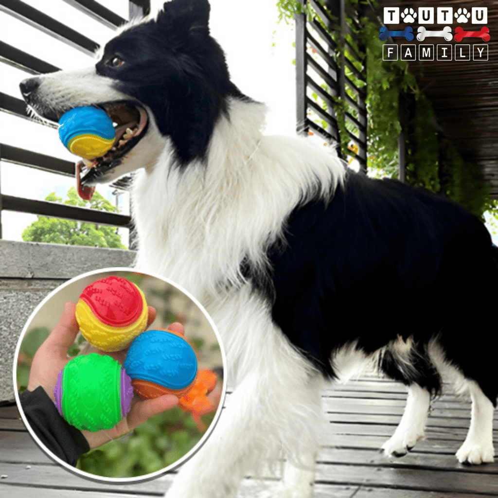 Balle pour chien (Lot de 3 ) - BalleToutou™