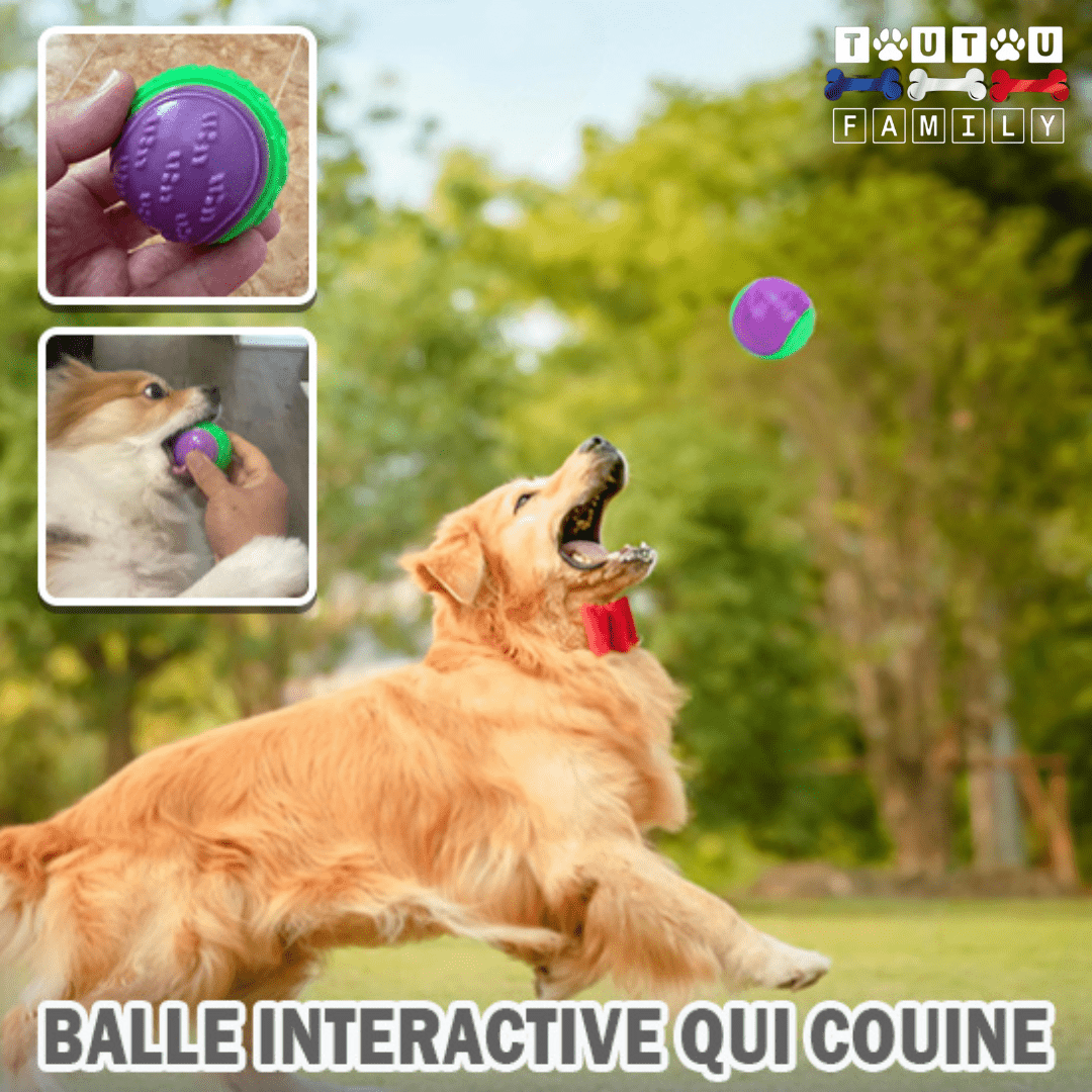 Balle pour chien (Lot de 3 ) - BalleToutou™