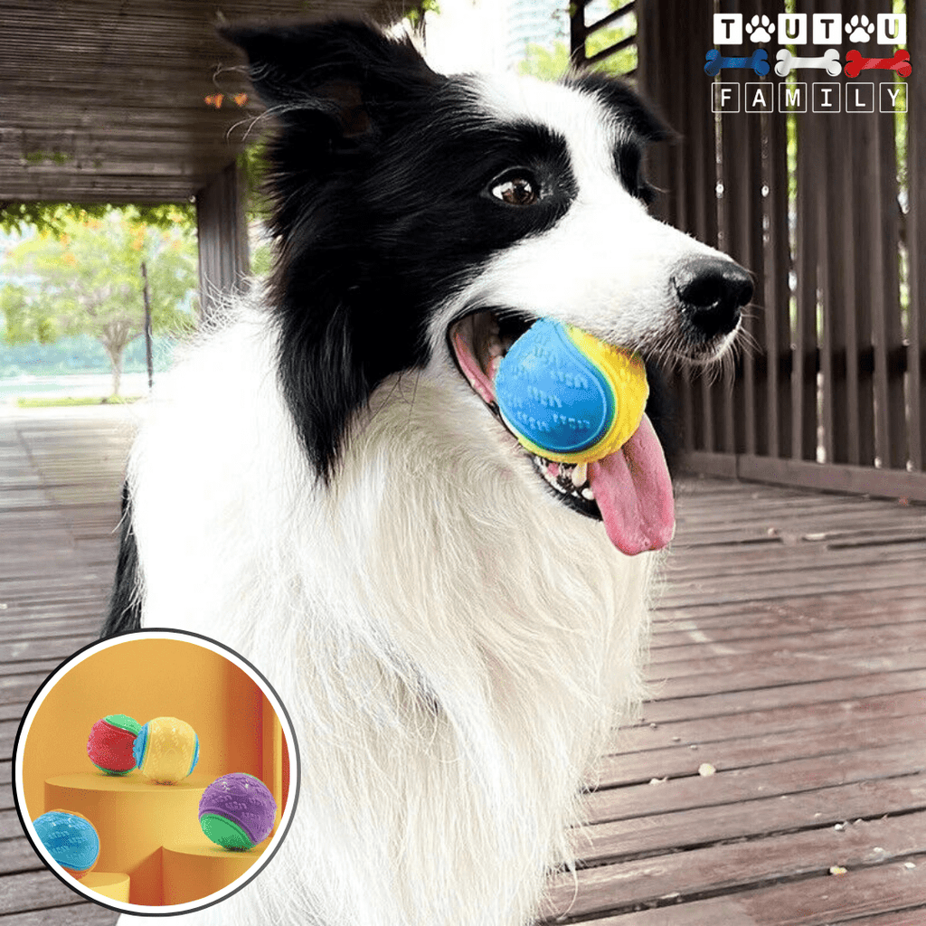 Balle pour chien (Lot de 3 ) - BalleToutou™
