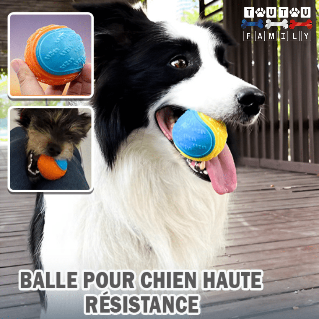 Balle pour chien (Lot de 3 ) - BalleToutou™