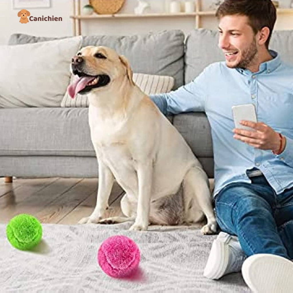 Balle pour chien interactif | WoofBall™