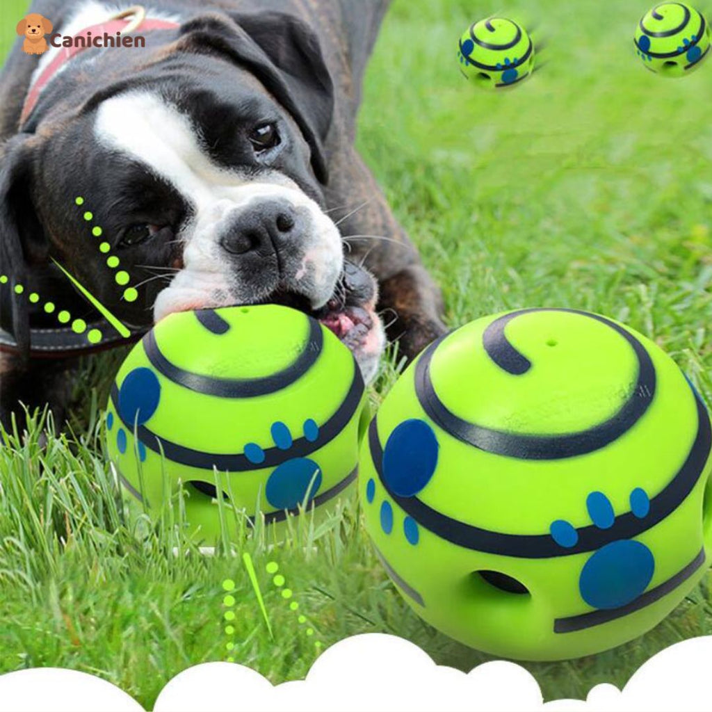 La balle pour chien | PupPlay™