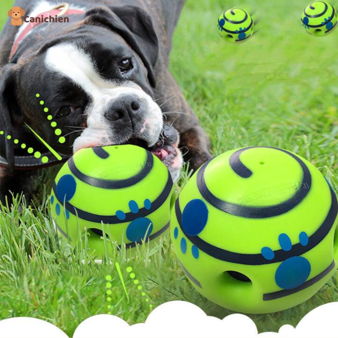 La balle pour chien | PupPlay™