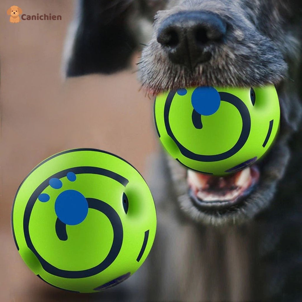 La balle pour chien | PupPlay™