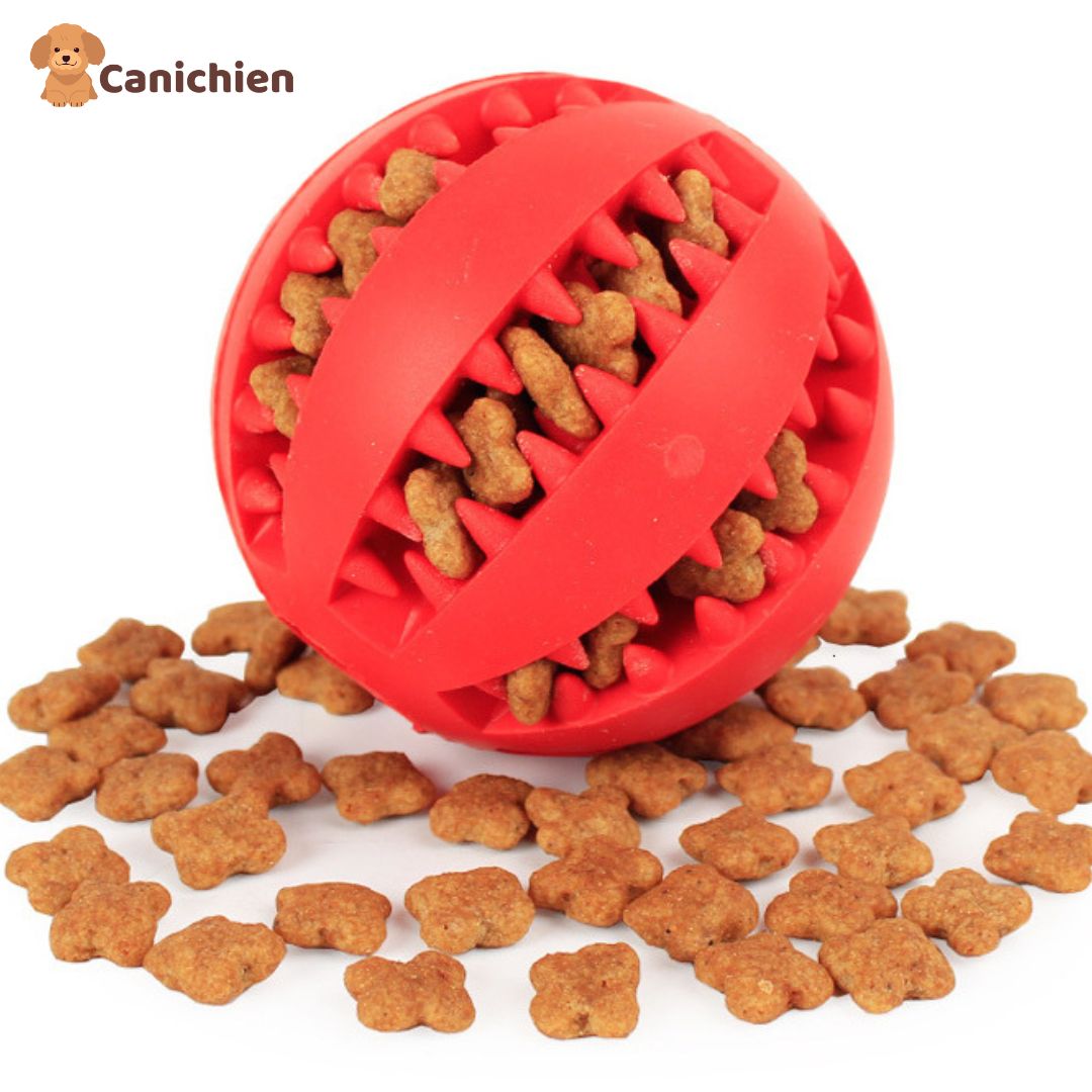 Balle pour chien 3 en 1 | Dentiball™