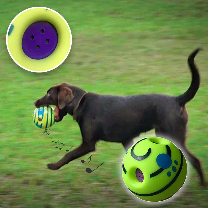 La balle pour chien | PupPlay™