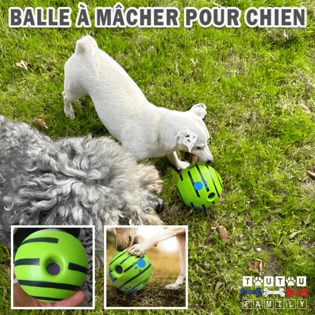 Balle pour chien sonore - CourseToutou™