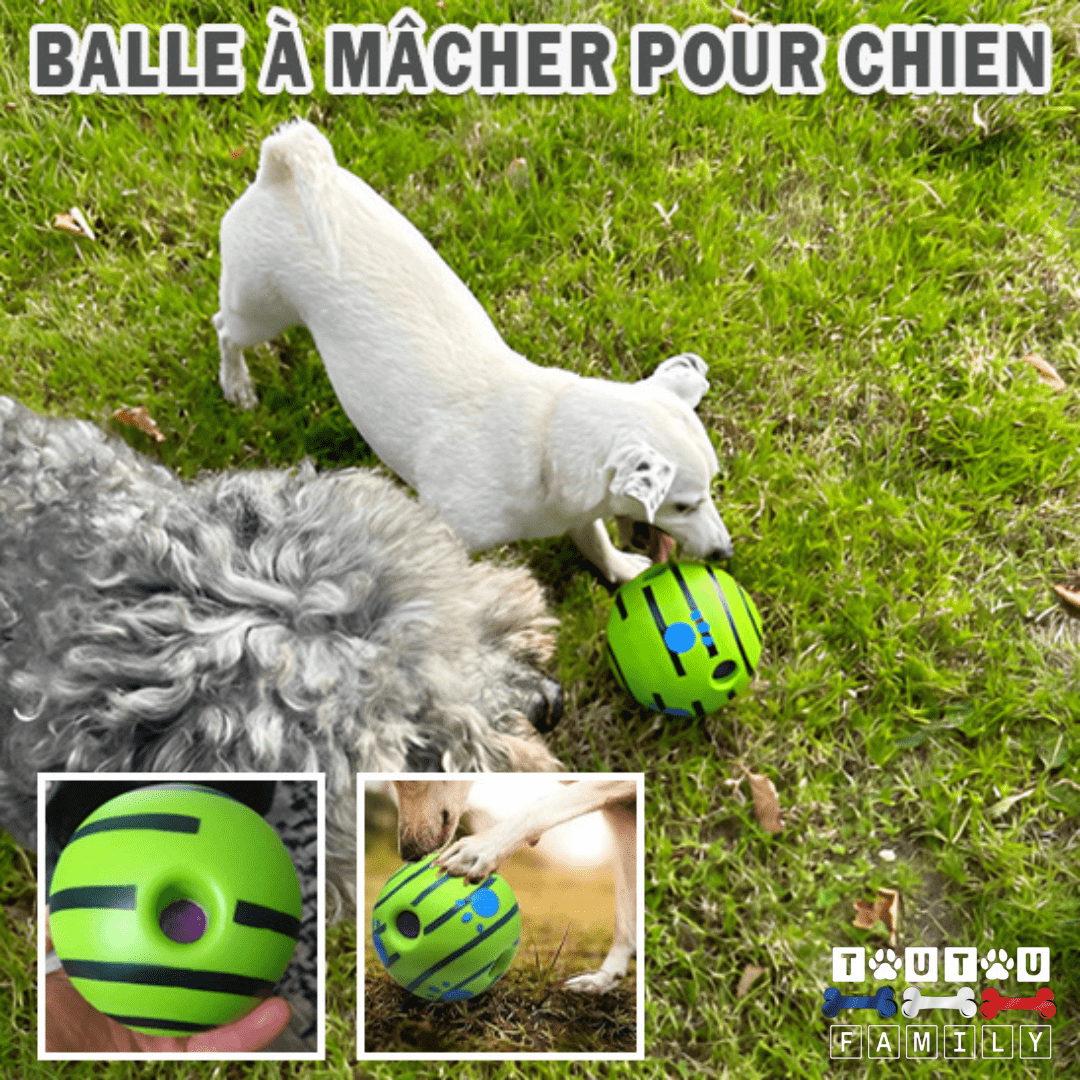 Balle pour chien sonore - CourseToutou™