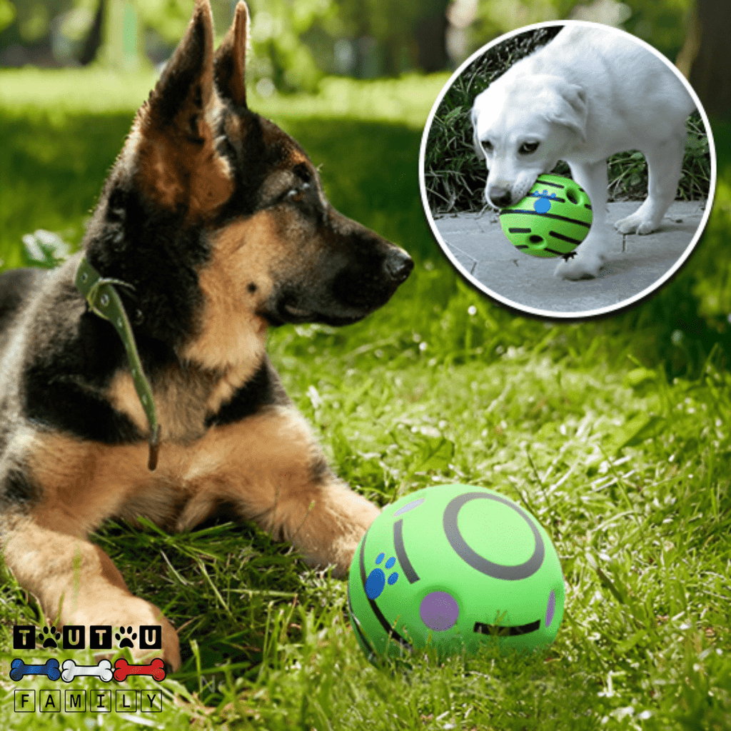 Balle pour chien sonore - CourseToutou™