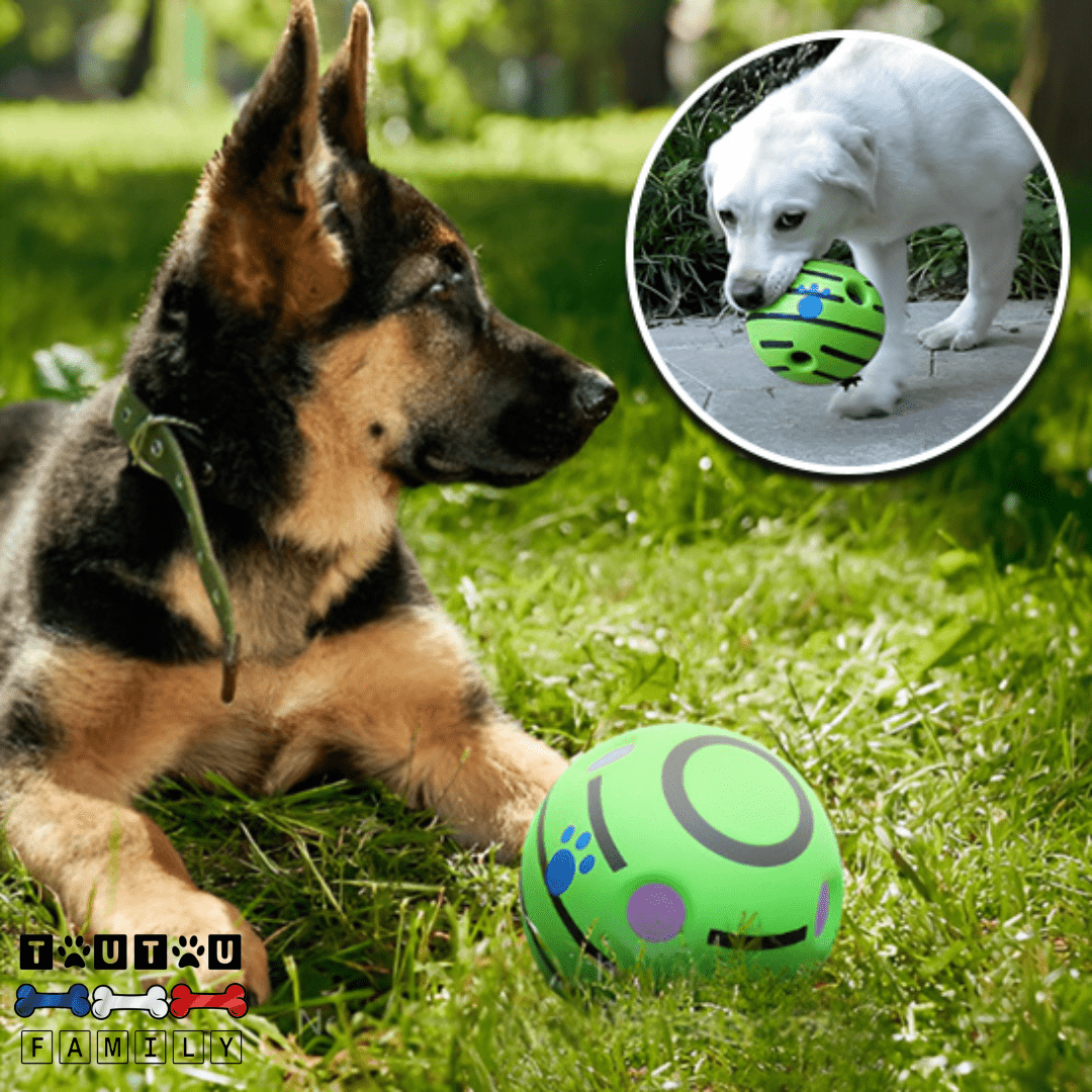 Balle pour chien sonore - CourseToutou™