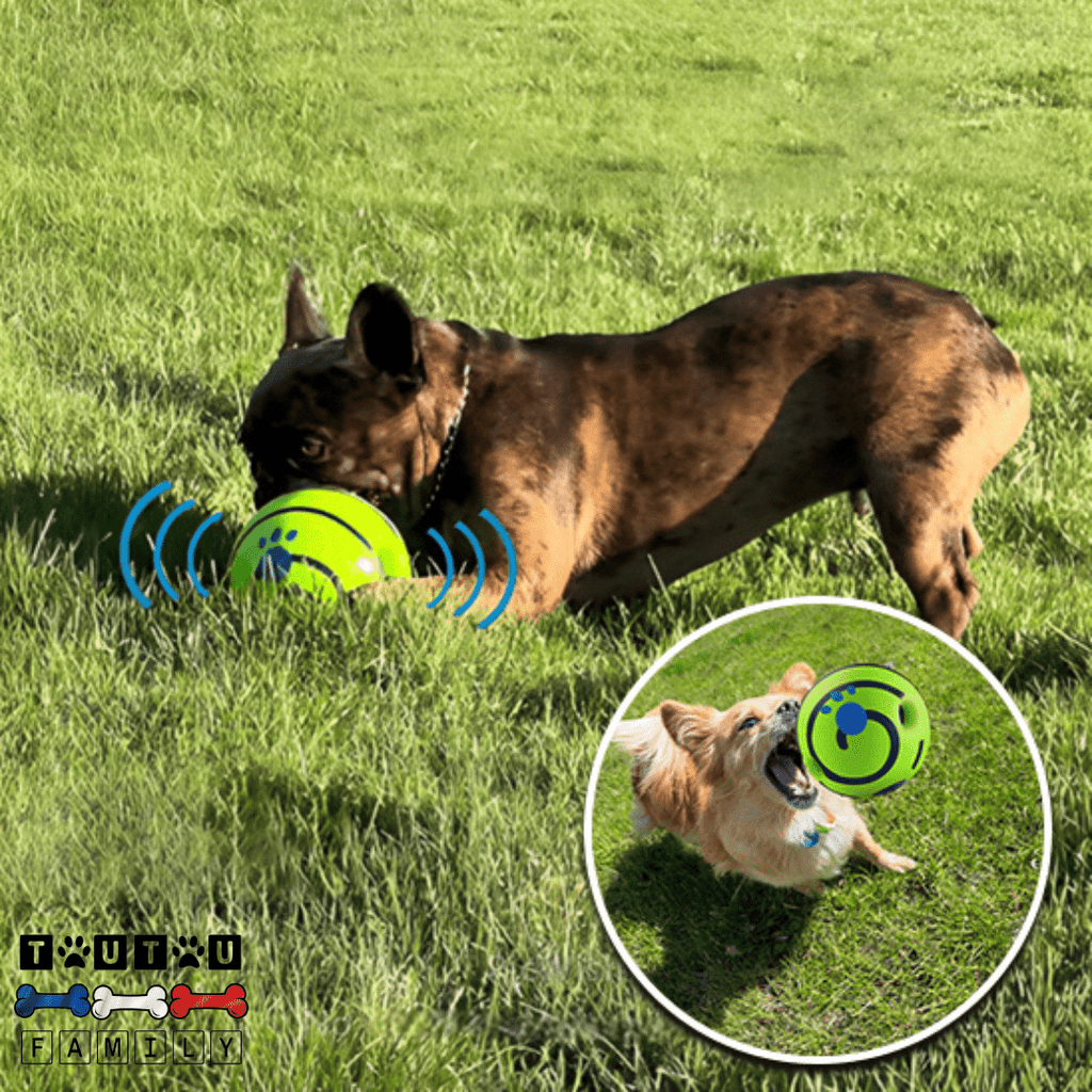 Balle pour chien sonore - CourseToutou™