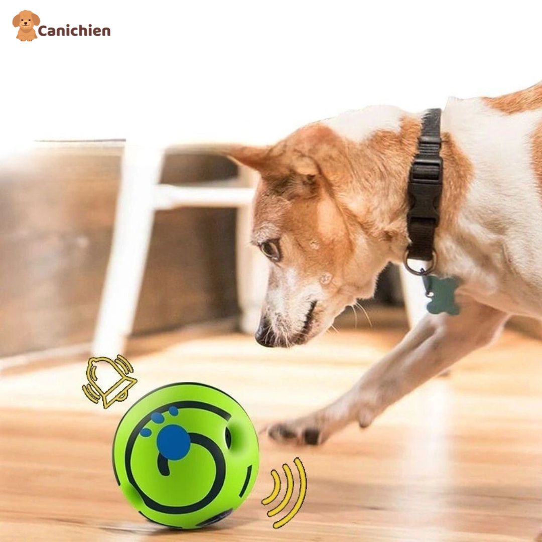La balle pour chien | PupPlay™