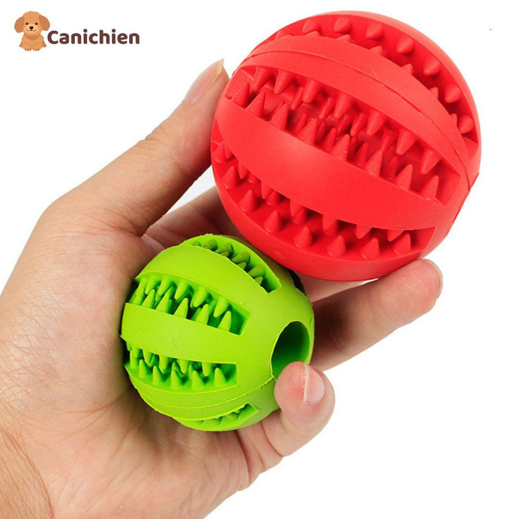 Balle pour chien 3 en 1 | Dentiball™
