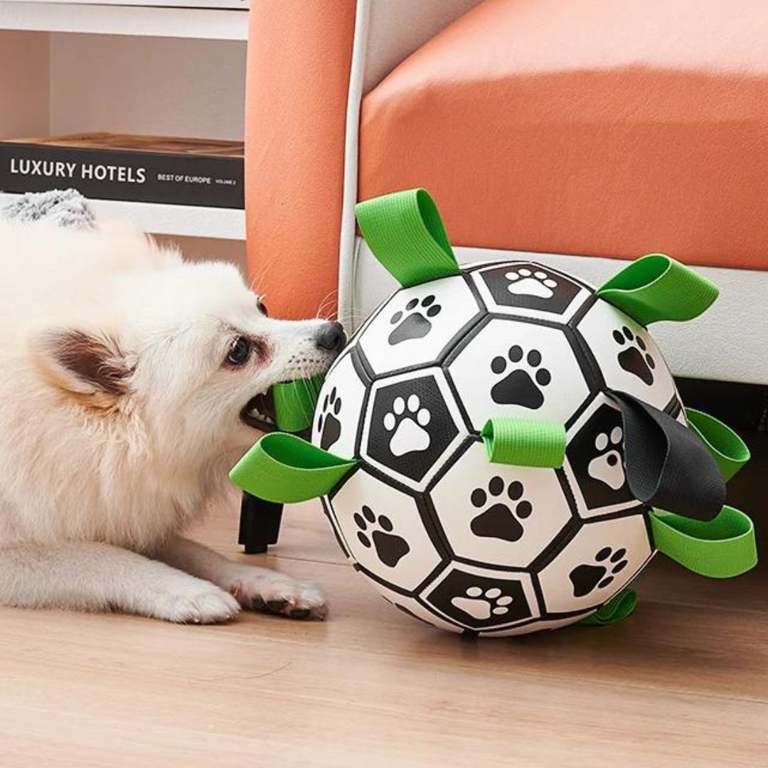 Ballon pour chien | JoyBall™