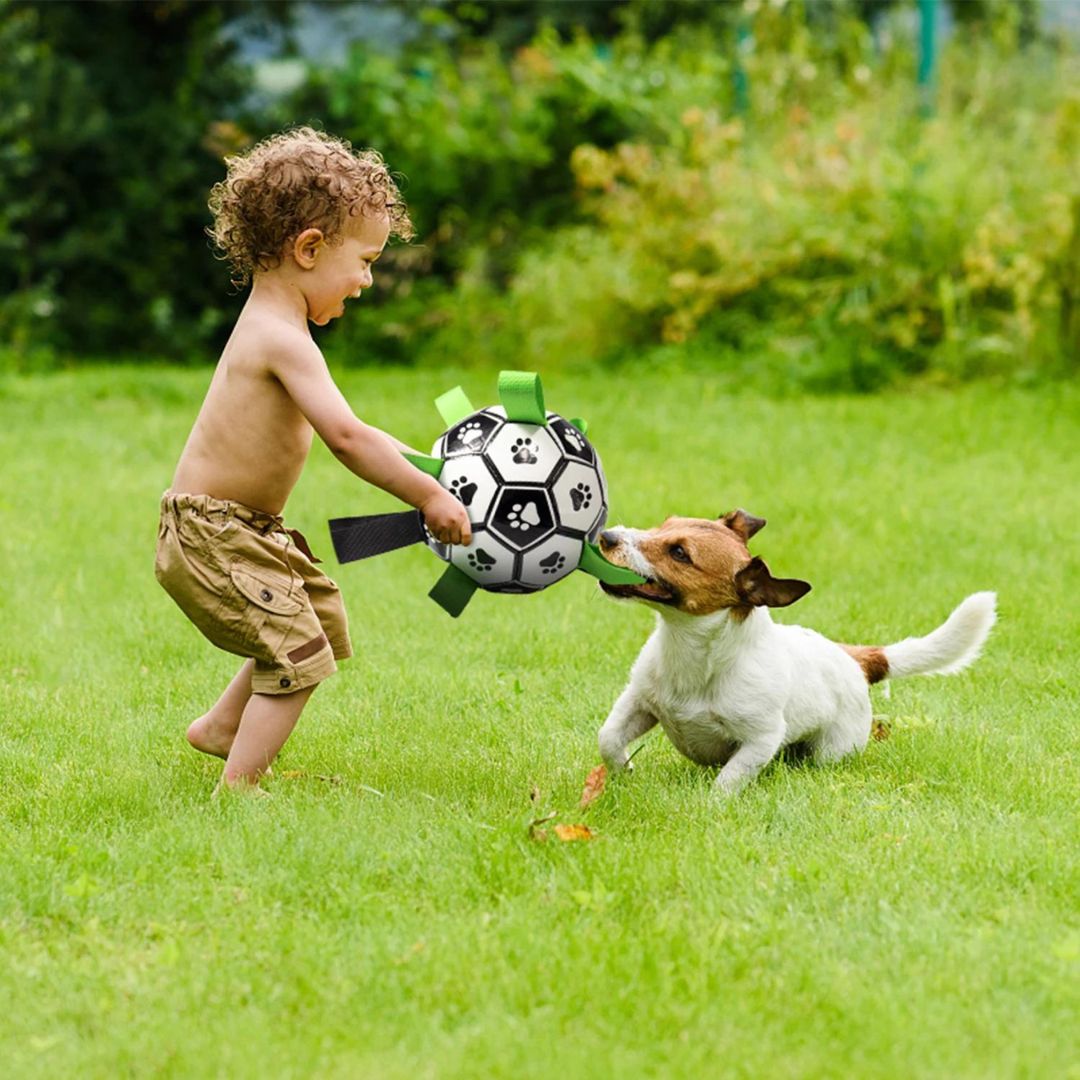 Ballon pour chien | JoyBall™