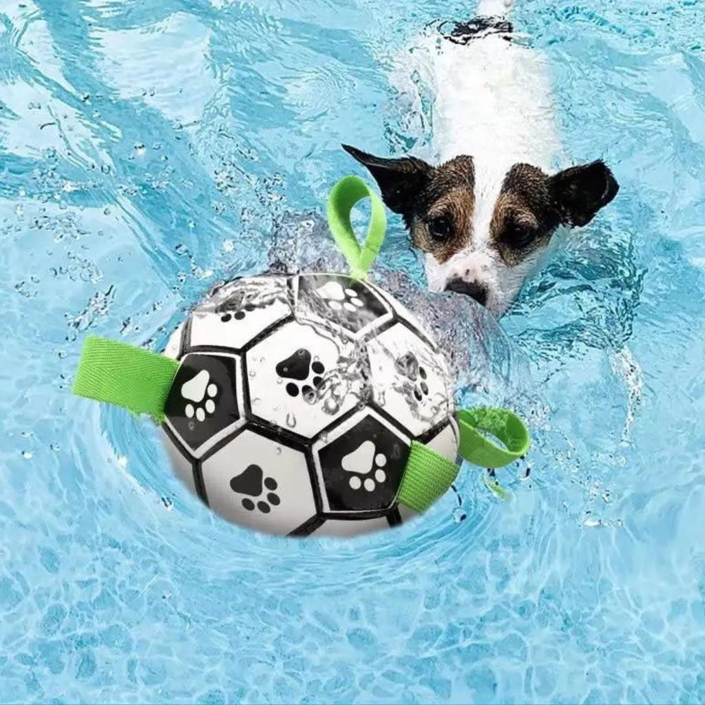 Ballon pour chien | JoyBall™