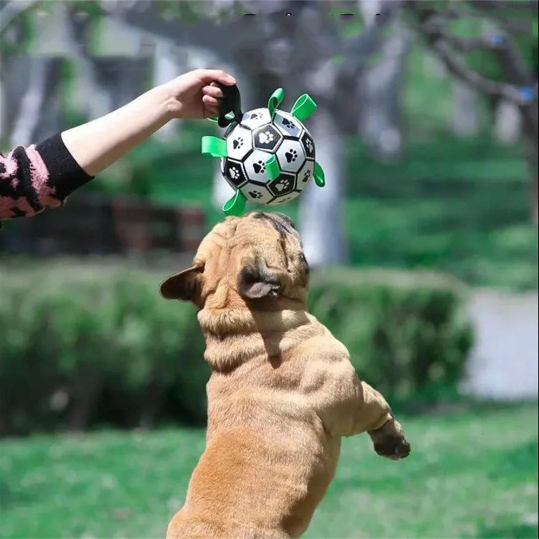 Ballon pour chien | JoyBall™