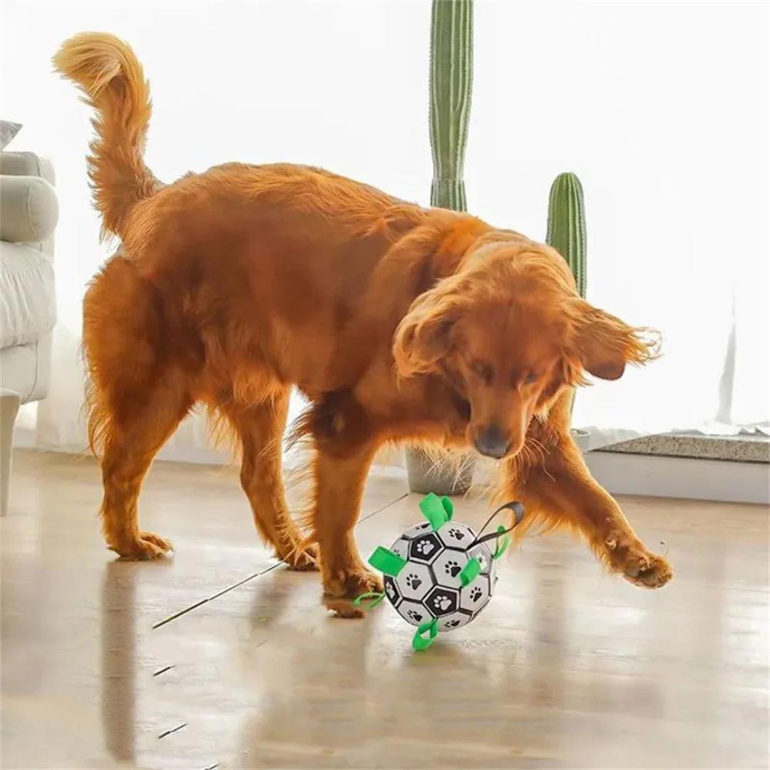 Ballon pour chien | JoyBall™