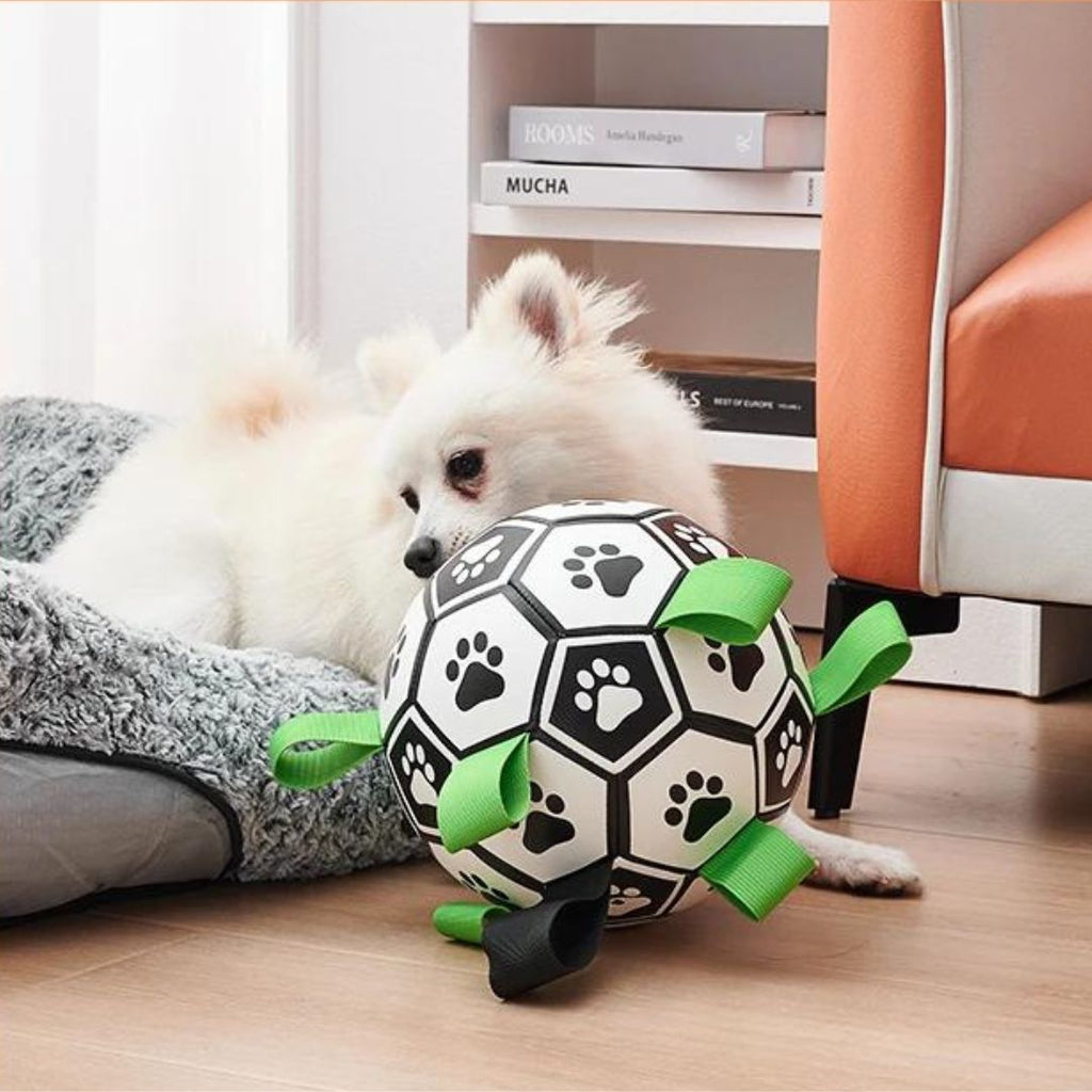 Ballon pour chien | JoyBall™