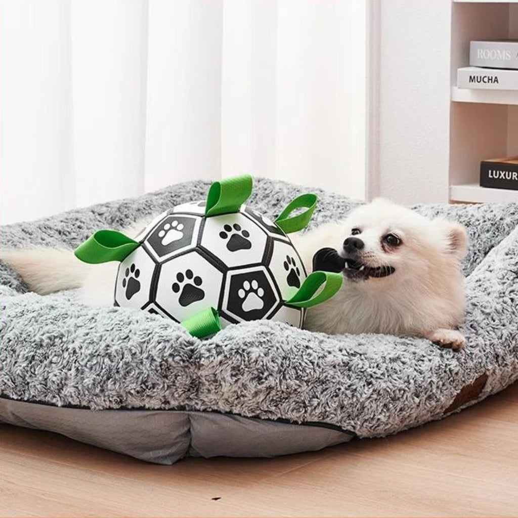 Ballon pour chien | JoyBall™